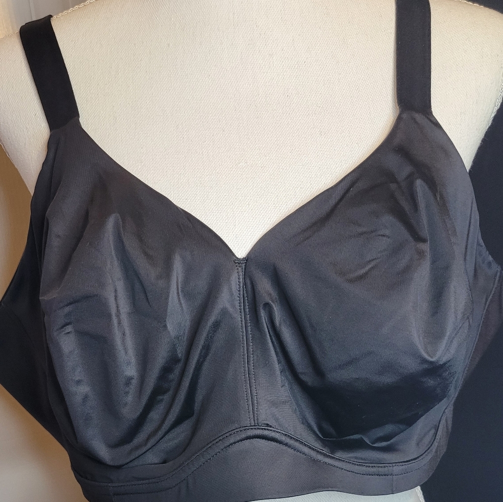 COPY - Serenada for Catherine's bra